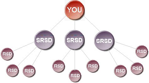 AmeriPlan� Business Opportunity NSD Diagram