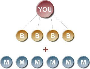 AmeriPlan� Business Opportunity RSD Diagram