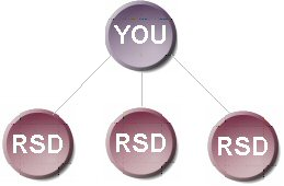 AmeriPlan� Business Opportunity SRSD Diagram